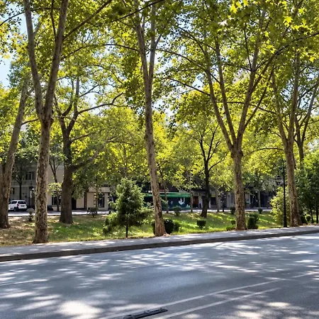 Premium 5-rooms L 4 Bathrooms L Center Appartement Tirana